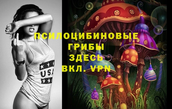 таблы Тында