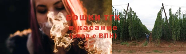 дурь Тутаев
