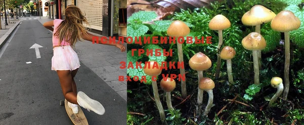 таблы Тында