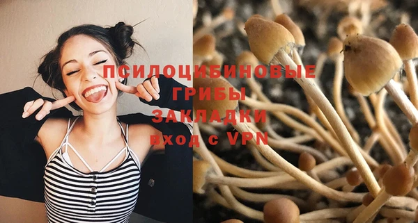дурь Тутаев
