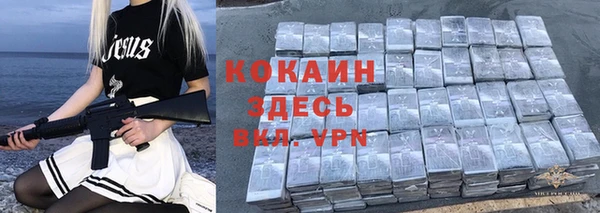 дурь Тутаев