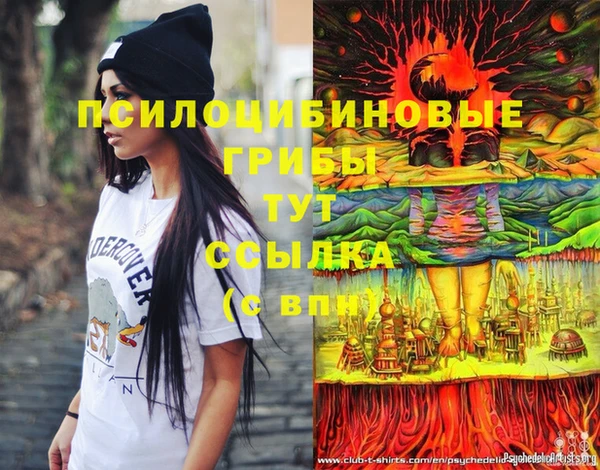 таблы Туринск