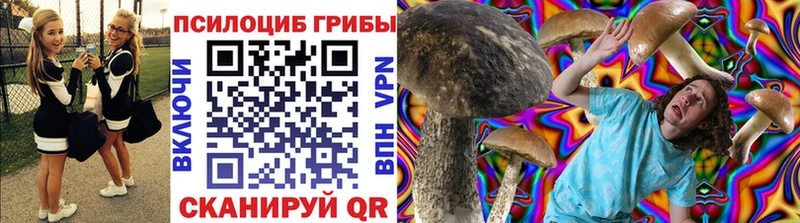 Псилоцибиновые грибы Psilocybine cubensis  Купить  Новопавловск 